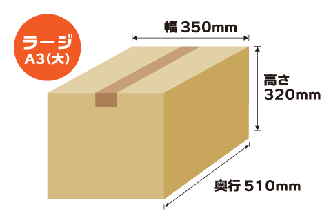 A3